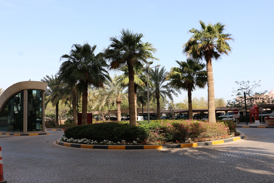 Professional roadside landscaping and palm tree installation at a commercial project by Almoayyed Contracting Group.