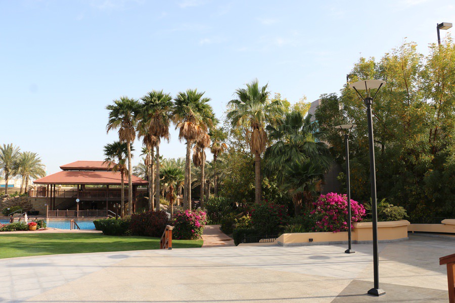Luxury villa garden featuring mature palm trees and professional landscape maintenance by Almoayyed Contracting Group.