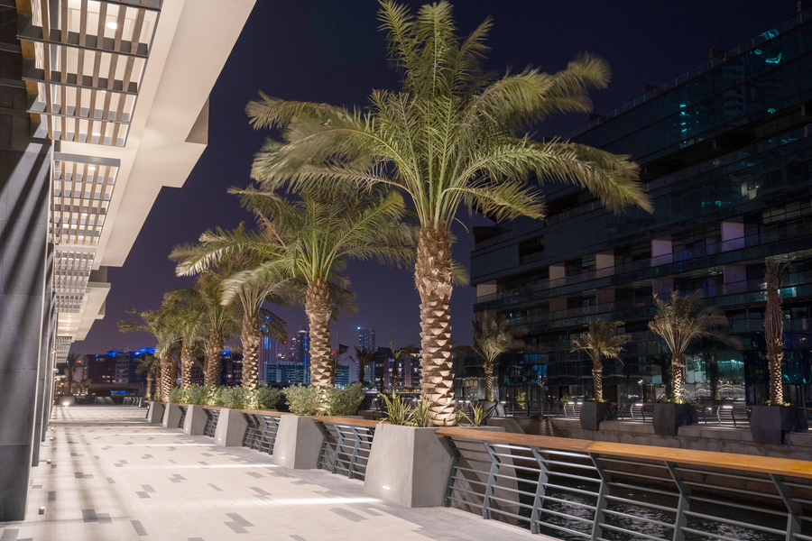 Almoayyed Contracting Group landscaping project featuring illuminated palm trees at night.